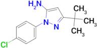 3-(tert-Butyl)-1-(4-chlorophenyl)-1H-pyrazol-5-amine