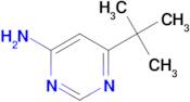 6-(tert-Butyl)pyrimidin-4-amine