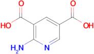 2-Aminopyridine-3,5-dicarboxylic acid