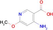 4-Amino-6-methoxynicotinic acid