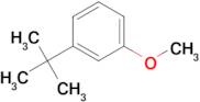 1-(tert-Butyl)-3-methoxybenzene