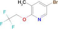 5-Bromo-3-methyl-2-(2,2,2-trifluoroethoxy)pyridine