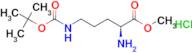 (S)-Methyl 2-amino-5-((tert-butoxycarbonyl)amino)pentanoate hydrochloride