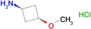 cis-3-Methoxycyclobutanamine hydrochloride