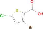 3-Bromo-5-chlorothiophene-2-carboxylic acid