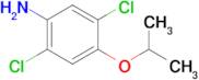 2,5-Dichloro-4-isopropoxyaniline