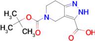 5-(tert-Butoxycarbonyl)-4,5,6,7-tetrahydro-1H-pyrazolo[4,3-c]pyridine-3-carboxylic acid