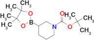 tert-Butyl 3-(4,4,5,5-tetramethyl-1,3,2-dioxaborolan-2-yl)piperidine-1-carboxylate