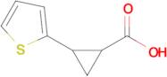 2-(Thiophen-2-yl)cyclopropanecarboxylic acid