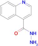 Quinoline-4-carbohydrazide