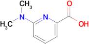 6-(Dimethylamino)picolinic acid