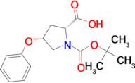 (2R,4R)-1-(tert-Butoxycarbonyl)-4-phenoxypyrrolidine-2-carboxylic acid