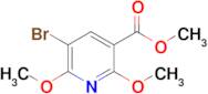 Methyl 5-bromo-2,6-dimethoxynicotinate