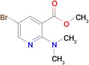 Methyl 5-bromo-2-(dimethylamino)nicotinate