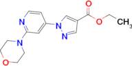 Ethyl 1-(2-morpholinopyridin-4-yl)-1H-pyrazole-4-carboxylate