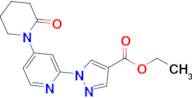 Ethyl 1-(4-(2-oxopiperidin-1-yl)pyridin-2-yl)-1H-pyrazole-4-carboxylate