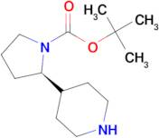 (R)-tert-Butyl 2-(piperidin-4-yl)pyrrolidine-1-carboxylate