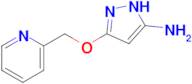 5-(Pyridin-2-ylmethoxy)-1H-pyrazol-3-amine