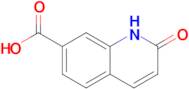 2-Oxo-1,2-dihydroquinoline-7-carboxylic acid