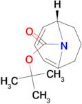 (S)-tert-Butyl 9-azabicyclo[3.3.1]nona-2,4-diene-9-carboxylate