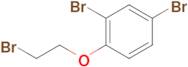 2,4-Dibromo-1-(2-bromoethoxy)benzene