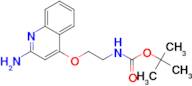 tert-Butyl (2-((2-aminoquinolin-4-yl)oxy)ethyl)carbamate