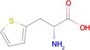 (R)-2-Amino-3-(thiophen-2-yl)propanoic acid
