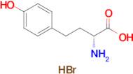 (R)-2-Amino-4-(4-hydroxyphenyl)butanoic acid hydrobromide