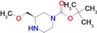 (R)-tert-Butyl 3-(methoxymethyl)piperazine-1-carboxylate