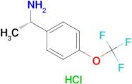 (S)-1-(4-(Trifluoromethoxy)phenyl)ethanamine hydrochloride