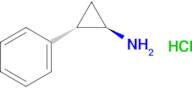 (1R,2S)-2-Phenylcyclopropanamine hydrochloride