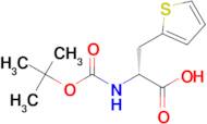 (R)-2-((tert-Butoxycarbonyl)amino)-3-(thiophen-2-yl)propanoic acid