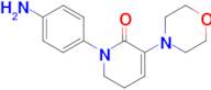 1-(4-Aminophenyl)-3-morpholino-5,6-dihydropyridin-2(1H)-one