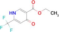 Ethyl 4-hydroxy-6-(trifluoromethyl)nicotinate