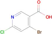 4-Bromo-6-chloronicotinic acid