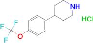 4-(4-(Trifluoromethoxy)phenyl)piperidine hydrochloride