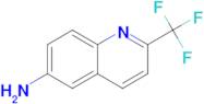 2-(Trifluoromethyl)quinolin-6-amine