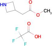 Methyl 2-(azetidin-3-yl)acetate 2,2,2-trifluoroacetate