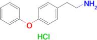 2-(4-Phenoxyphenyl)ethanamine hydrochloride