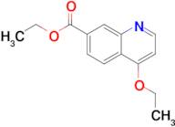 Ethyl 4-ethoxyquinoline-7-carboxylate