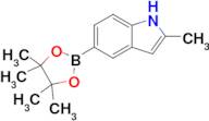 2-Methyl-5-(4,4,5,5-tetramethyl-1,3,2-dioxaborolan-2-yl)-1H-indole