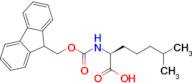 (S)-2-((((9H-Fluoren-9-yl)methoxy)carbonyl)amino)-6-methylheptanoic acid