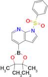 1-(Phenylsulfonyl)-4-(4,4,5,5-tetramethyl-1,3,2-dioxaborolan-2-yl)-1H-pyrrolo[2,3-b]pyridine