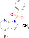 4-Bromo-2-methyl-1-(phenylsulfonyl)-1H-pyrrolo[2,3-b]pyridine