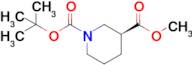 (S)-1-tert-Butyl 3-methyl piperidine-1,3-dicarboxylate