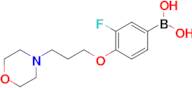 (3-fluoro-4-(3-morpholinopropoxy)phenyl)boronic acid