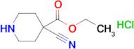 Ethyl 4-cyanopiperidine-4-carboxylate hydrochloride