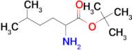 tert-Butyl 2-amino-5-methylhexanoate