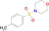 4-tosylmorpholine