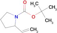 TERT-BUTYL 2-VINYLPYRROLIDINE-1-CARBOXYLATE